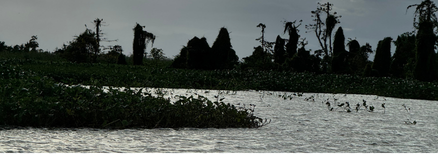Cultural landscape