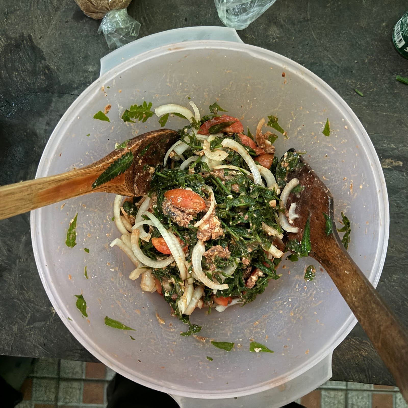 Pictures of the Dish